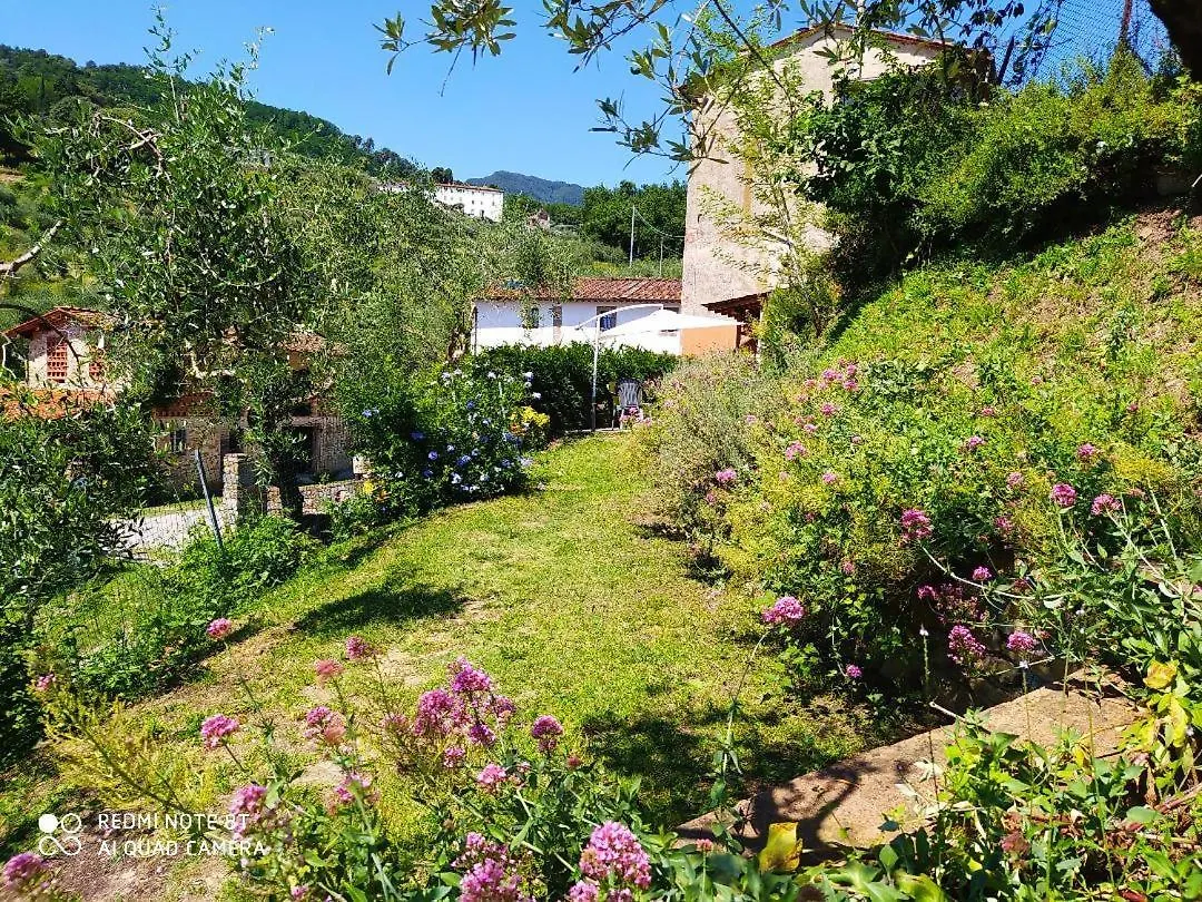 Villa A Casa Di Luca Lucca